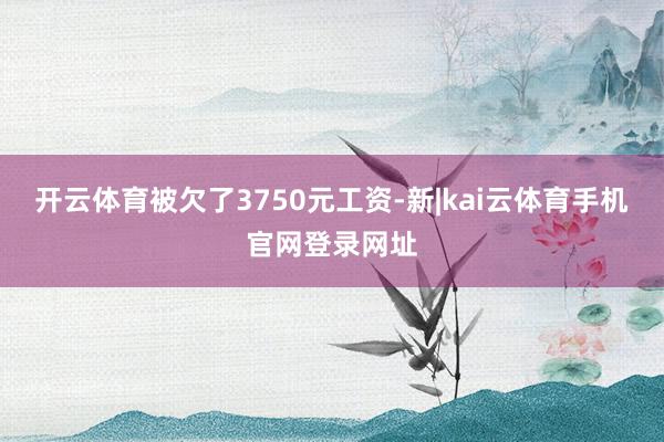 开云体育被欠了3750元工资-新|kai云体育手机官网登录网址