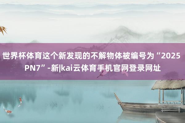 世界杯体育这个新发现的不解物体被编号为“2025 PN7”-新|kai云体育手机官网登录网址